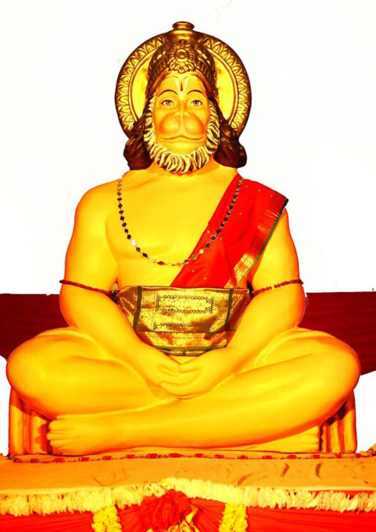 3rd Cosmic Hanuman Havan (August 2014)