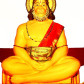 3rd Cosmic Hanuman Havan (August 2014)